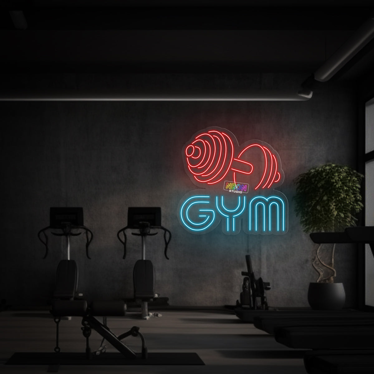 Gym & dumbbell